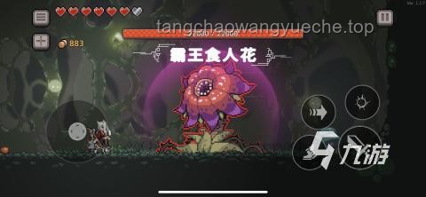 震惊发现：探索地下世界入口的真实案例研究
